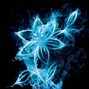 LonelyMuzik - Blossom