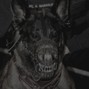 Caesar - Muzzle