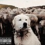 Caesar - nineTails