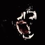 Caesar - Chemical | trap metal