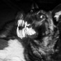 Caesar - Deadly