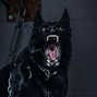 Caesar - Venom