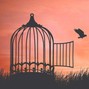 IRL - Freedom