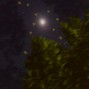 Feidhe - Yellow Stars 