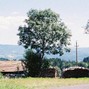 Kilim Vein - Countryside