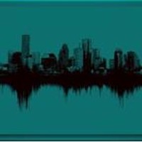 Volleysohouston 