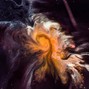 triple wu beats - Space Runner