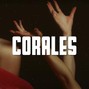 Zoomatik - Corales - Rvfv x Omar Montes x Beatriz Luengo type beat