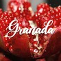 Zoomatik - Granada - Omar Montes x Moncho Chavea type beat