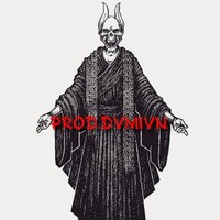 DVMIVN