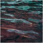 Brandon Wave - Sorry, I Flex A Lot