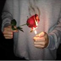 HXDY