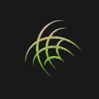RareFlora