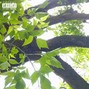 VYWeedsion - [For Sale] Hella sketchy x Lil Tracy "Don't Cry"