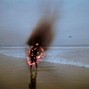 sloth - sight of summer
