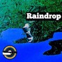Murphy Chops - Raindrop