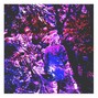 November Kid - 4—u