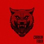 Frost London - Carbon Fiber