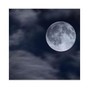 Noize - Full Moon