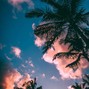 Rayan Pal - Bali - Lil Tecca Type Beat