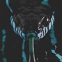 Alpinist - Peaking