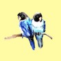 Bob Lydecker - “My Little Bird“ (Zota the Friend x Arizona Zervas x Mac Miller type beat)