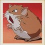 girlnextdoor - (#020) Rattata