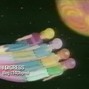 I Digress - Beg