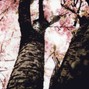 luvrboy - onedaymaybe