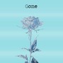 “Dreamer Music” - Gone