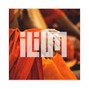 Ilium - Buddha
