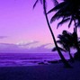IKAIKA - Sarasota