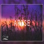 Calm Z - Arise