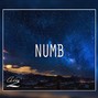 Calm Z - Numb
