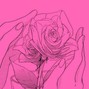 Indigold - Roses (In the Night)