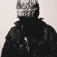 MVRKMVCHINX