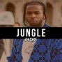 kashy - JUNGLE