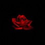 Noslow - Love