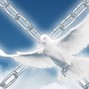 irCasim - 10,000,000 doves