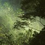 Hugo Beats - Jungle