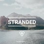 hive. - Stranded
