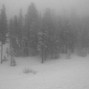 Lithe - winter