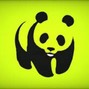 Horikosy - panda