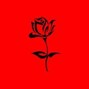 Horikosy - rose