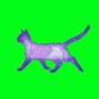 Horikosy - X cat