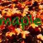 Horikosy - Maple