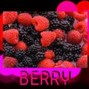 Horikosy - BERRY