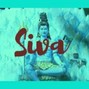 Horikosy - 🌌Shiva🌌