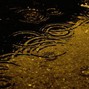 the.yub.hub - Rainy Dayz