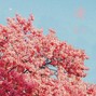 shædowrælm - blissgarden